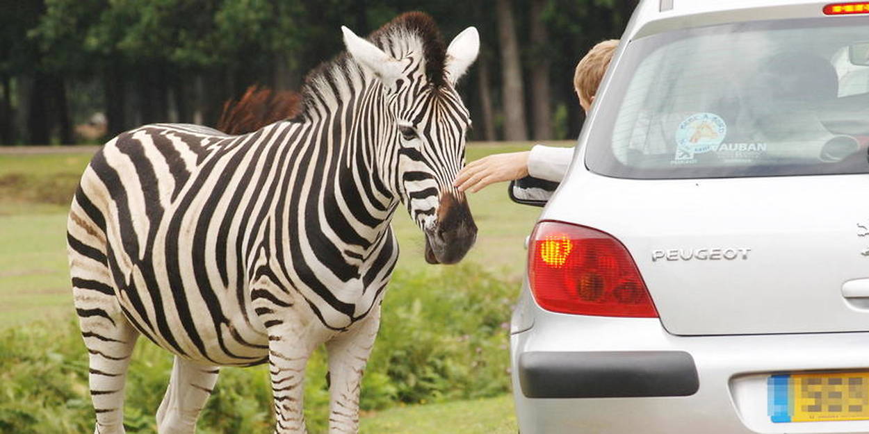 Photo supplémentaire