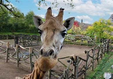 Photo supplémentaire