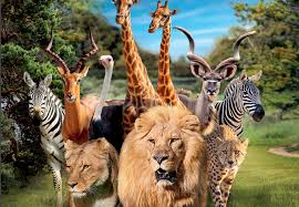 Photo supplémentaire