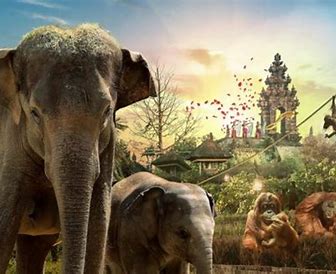 Photo supplémentaire