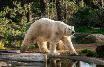 Photo supplémentaire