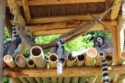 Photo supplémentaire