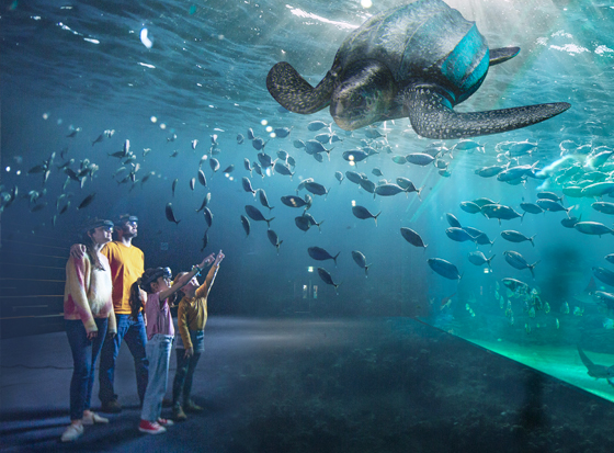 Photo supplémentaire